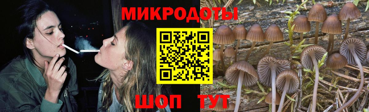 Псилоцибиновые грибы Psilocybe  Псилоцибиновые грибы MAGIC MUSHROOMS  Вход с VPN  Первоуральск 